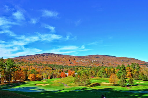 William Raveis Vermont Properties - Thumbnail