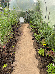 Photo n°12 de Domaine de Fauveau à Razac-sur-l'Isle (Chambre d'hôtes)