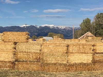 Bozeman Maze