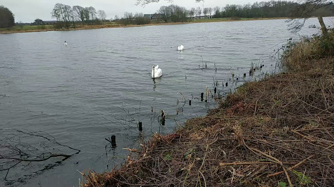 Opinii despre Parkering ved Engsøen în Struer - Parkeringsanlæg