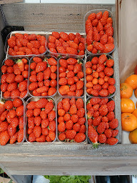 Photo n°14 de La Boucherie de Gaëtan et Juliette à Cénac-et-Saint-Julien (Cave à vins)