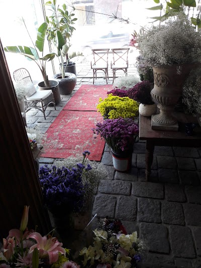Photos of Shirohana Petal Guru