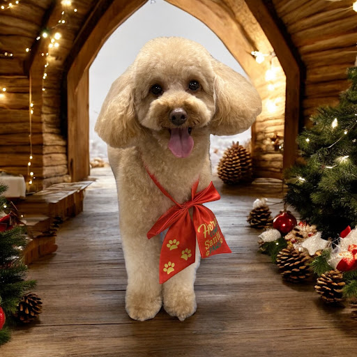 Lush & Brush Boutique