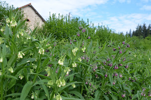 Photo n°14 de Val de l'Ent ∞ Morvan sauvage à Saint-Léger-sous-Beuvray (Préservation du patrimoine)