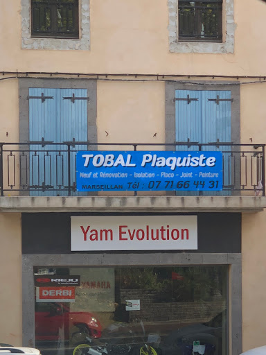 Tobal plaquiste - Thumbnail