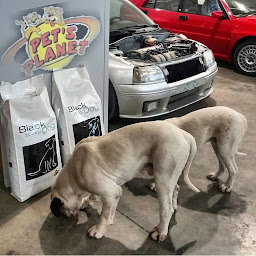 Photo n°11 de Sarl Pattes Et Patee à Contes ()