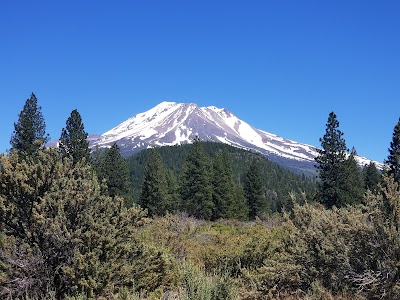 Shasta-Trinity National Forest