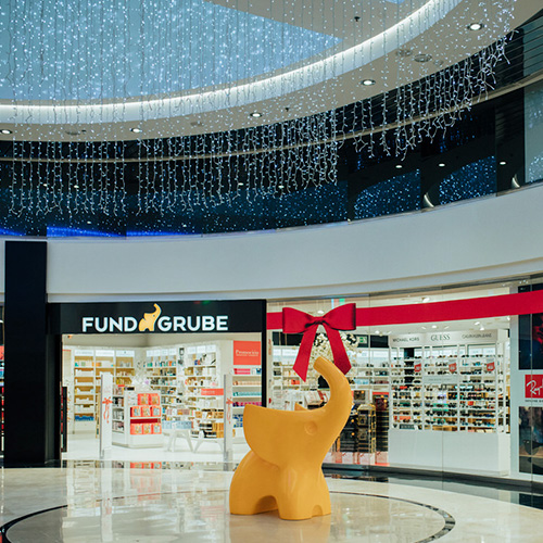 Fund Grube C.C. Nivaria