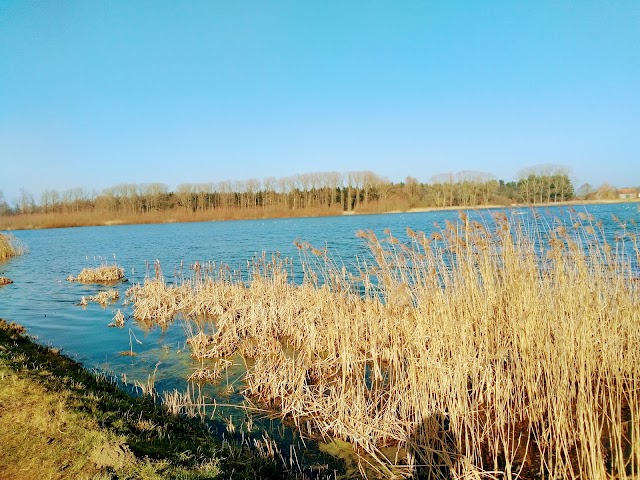 Stedelijk Natuurreservaat Bourgoyen-Ossemeersen
