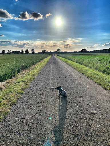 Wanderparkplatz Düpegraben