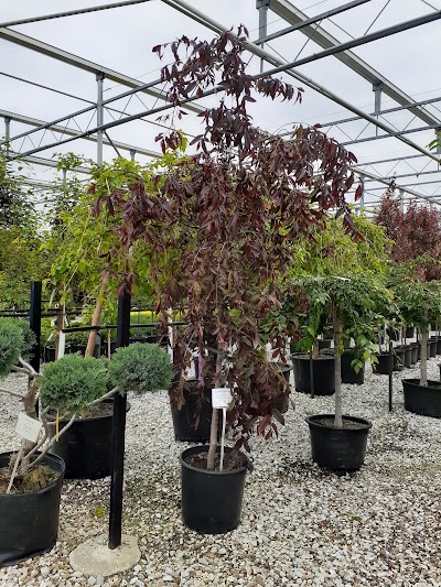 Frese Ornamental Nursery