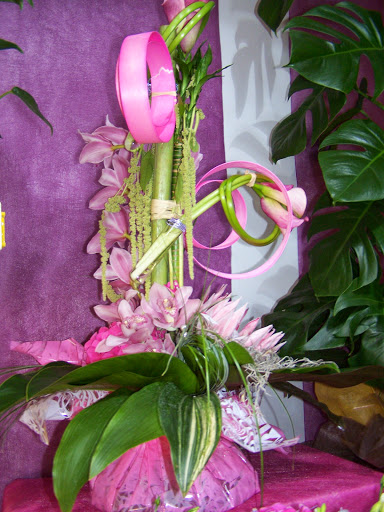 Floridéa - Visual