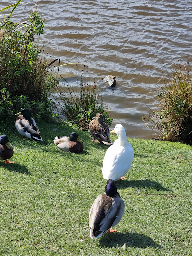 Garn Lakes - Visual