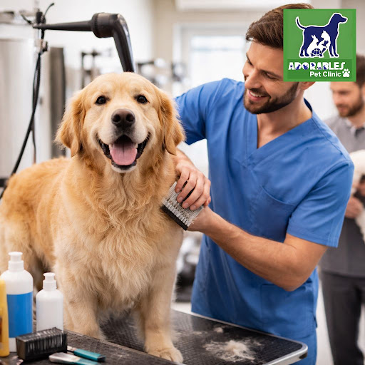 Regular, professional grooming is about much more than a cute haircut. At Adorables Pet Clinic in… post image