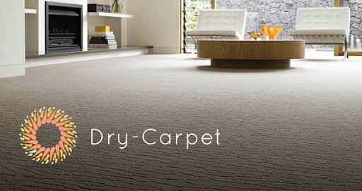 Dry-Carpet - Visual