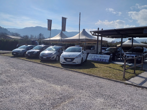 Mt Motor - Visual