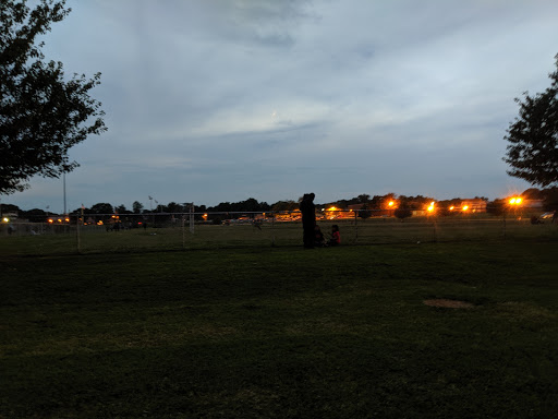 Alden Field - Visual