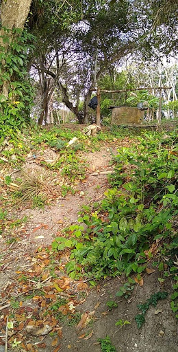 Parque "Tampache" - Thumbnail