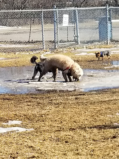 Azilda Dog Park Gallery - Canada