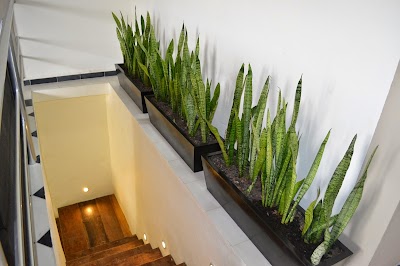 Photos of Casa Balch&eacute;