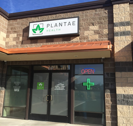 Plantae - Visual