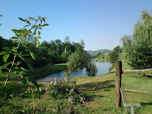 Photo n°15 de LE FOEHN Auberge Pisciculture à Arette (Restaurant français)