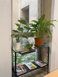 Photo n°11 de Univers Viager Gironde à Bordeaux (Consultant immobilier)