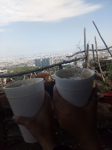 Pajarete - Visual