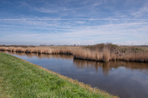 Natuurontwikkelingsgebied Koudenhoek