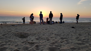 Photo n°13 de ASSOCIATION SEIGNOSSE OCEAN à Seignosse (Association bénévole)