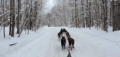 Suomi Hills Kennel