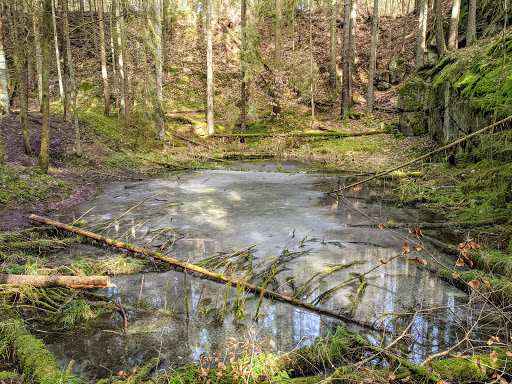 Wernloch - Thumbnail