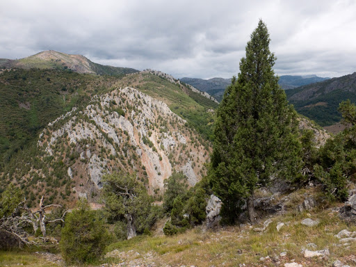 Pico Jaido - Visual