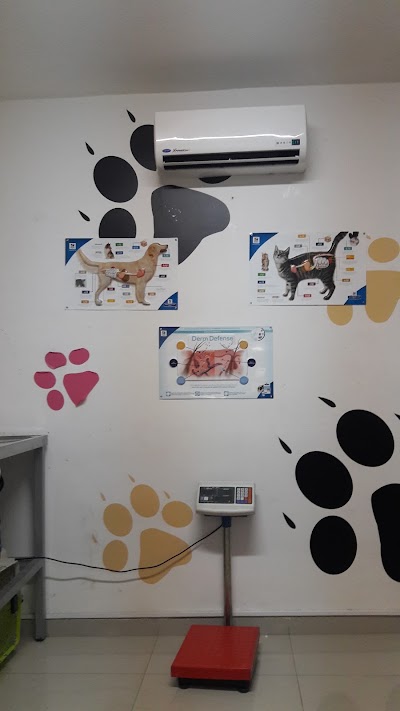Photos of Agroganadero del Caribe