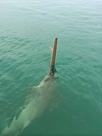 Photos of True Island Adventures