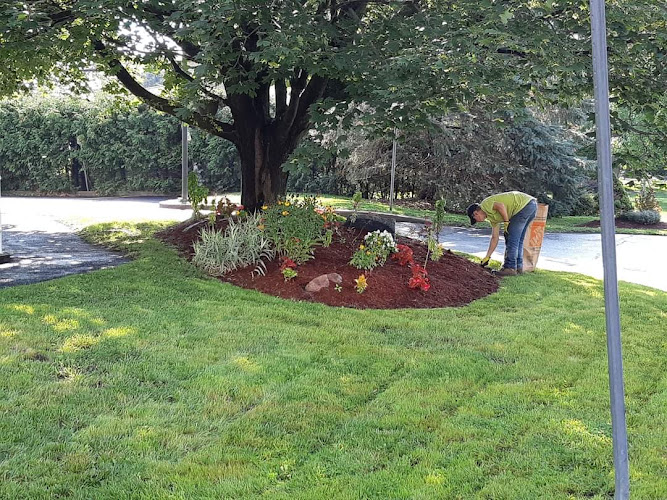 Kanta Hedges Inc work photo 1
