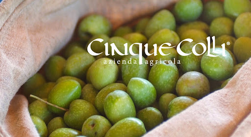 Cinque Colli - Visual