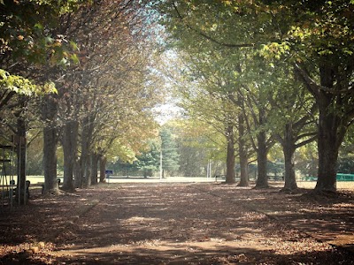 Photos of Howick High School