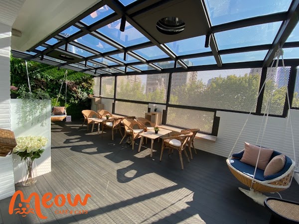 MEOW CAFE 喵屋專業咖啡/最多品種貓咪網美咖啡廳/可活動包場