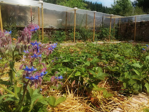Photo n°3 de Les Cèdres bleus à La Séauve-sur-Semène (Centre de méditation)