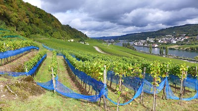 Photos of Deutsch-Luxemburgische Tourist-Information