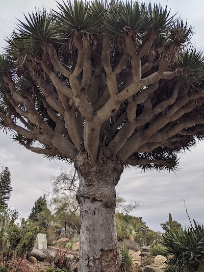 San Diego Botanic Garden