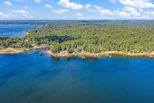 Shane Allman, Realtor - Allman Company - Thumbnail
