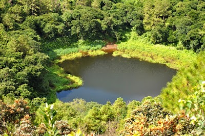 Photos of Trou Aux Cerfs Volcano