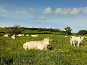 Photo n°1 de gaec des sources à Saint-Bonnet-de-Cray (Élevage de volailles)