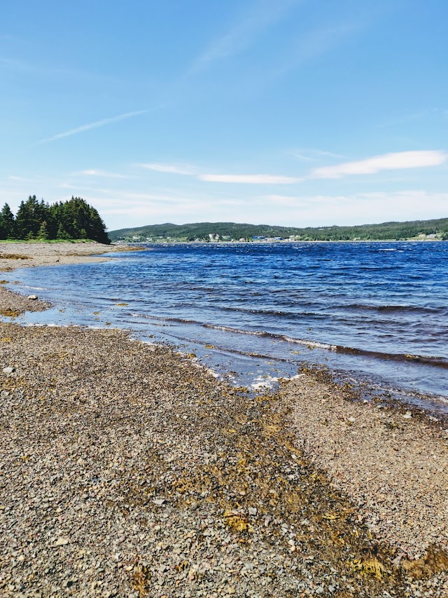 Avalon Wilderness Reserve