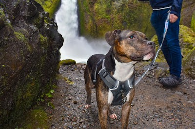 Wahclella Falls