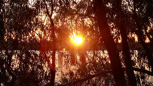 Murray River - Visual