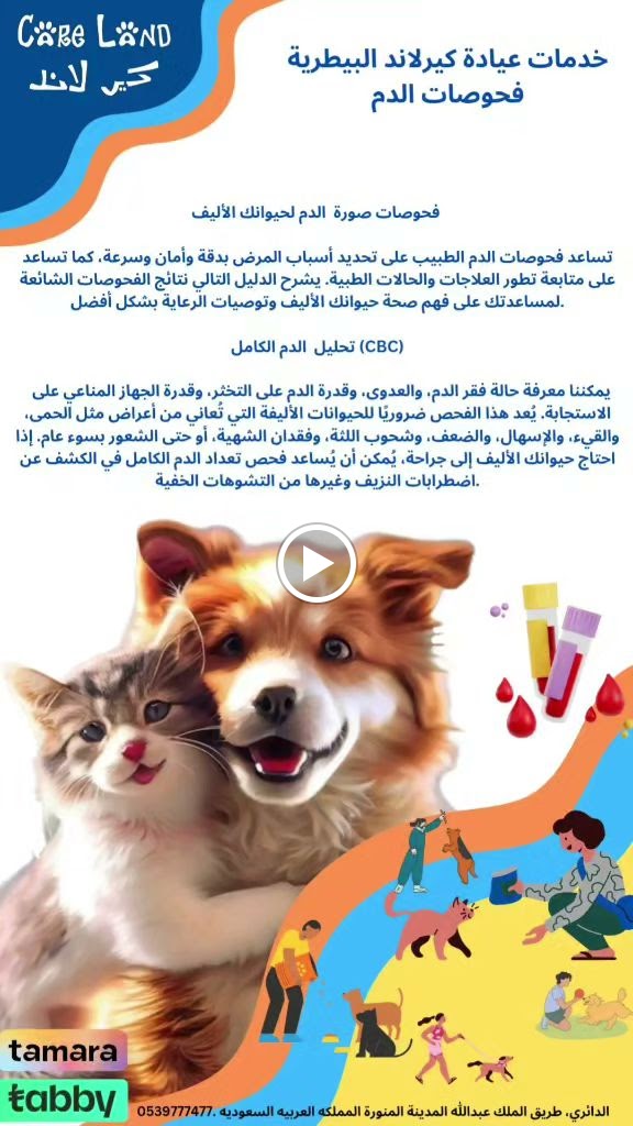 عيادة كيرلاند البيطرية CARE LAND VET CLINIC - صورة 3