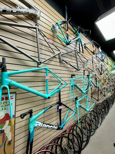 Adrenaline Bike Shop Gallery - United States
